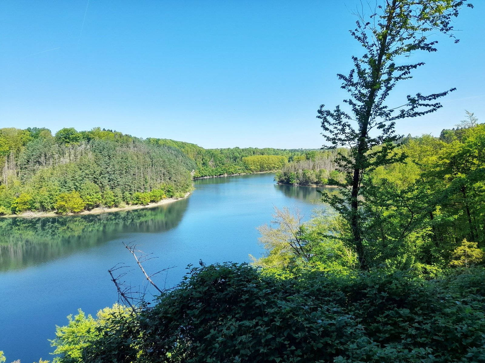 VEDANTA TEACHINGS IN GERMAN 2026